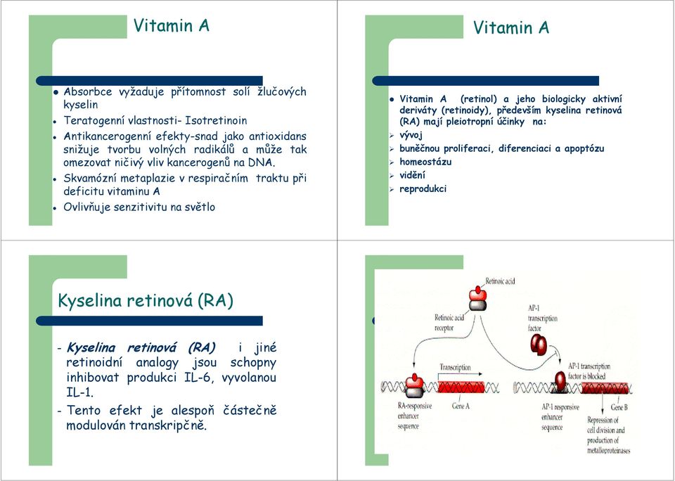 Skvamózní metaplazie v respiračním traktu při deficitu vitaminu A Ovlivňuje senzitivitu na světlo Vitamin A (retinol) a jeho biologicky aktivní deriváty (retinoidy), především