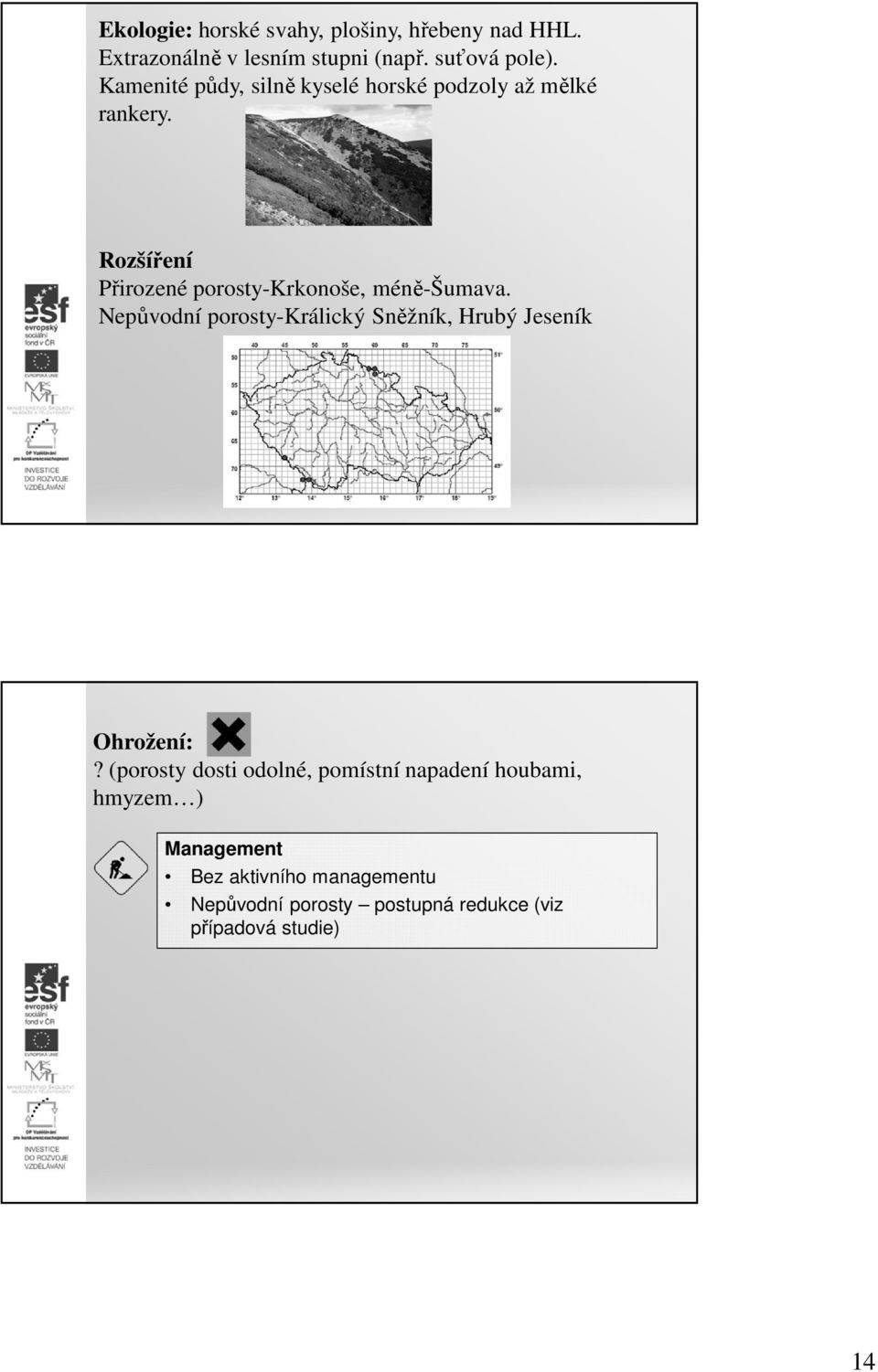 Nepůvodní porosty-králický Sněžník, Hrubý Jeseník Ohrožení:?