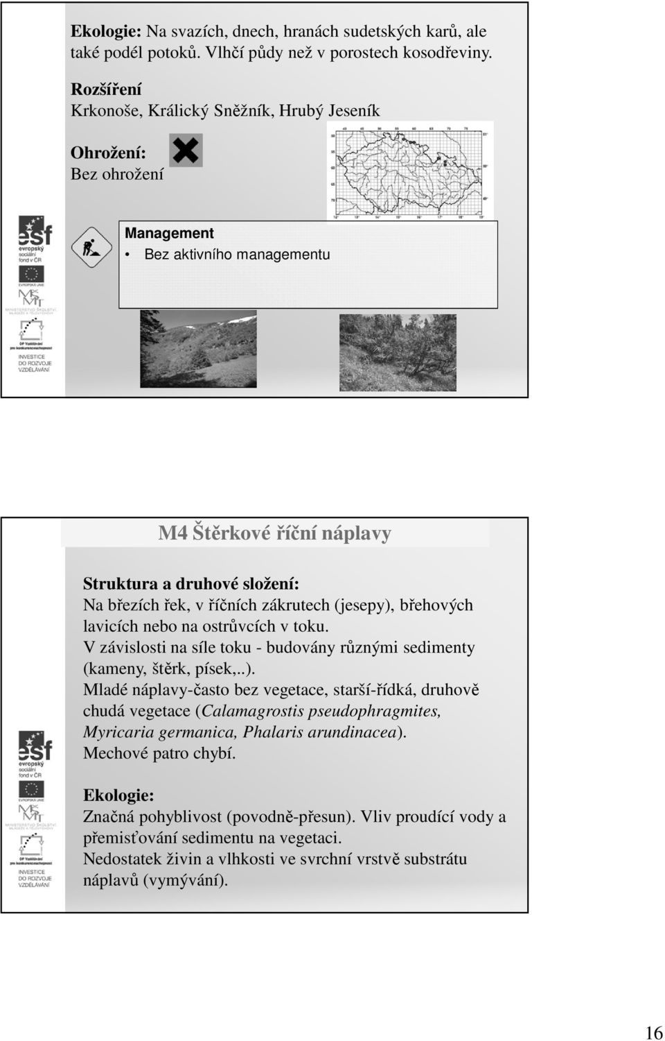 nebo na ostrůvcích v toku. V závislosti na síle toku - budovány různými sedimenty (kameny, štěrk, písek,..).