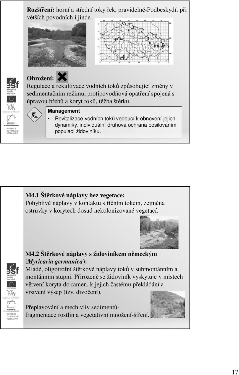 Management Revitalizace vodních toků vedoucí k obnovení jejich dynamiky, individuální druhová ochrana posilováním populací židoviníku. M4.