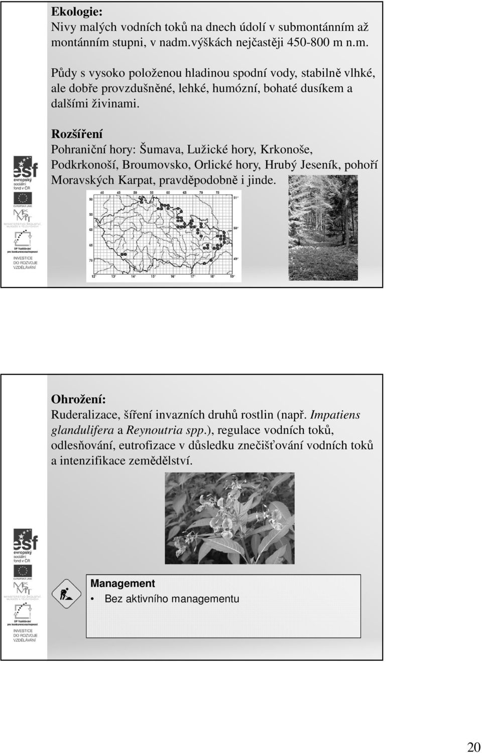 Ohrožení: Ruderalizace, šíření invazních druhů rostlin (např. Impatiens glandulifera a Reynoutria spp.