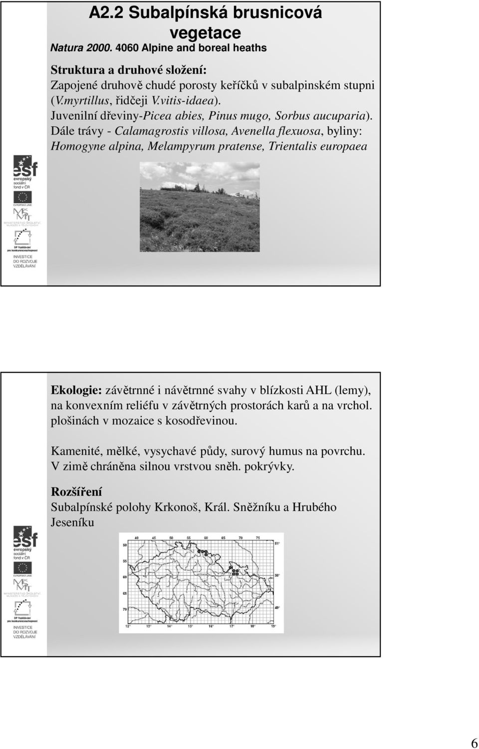 Dále trávy - Calamagrostis villosa, Avenella flexuosa, byliny: Homogyne alpina, Melampyrum pratense, Trientalis europaea Ekologie: závětrnné i návětrnné svahy v blízkosti