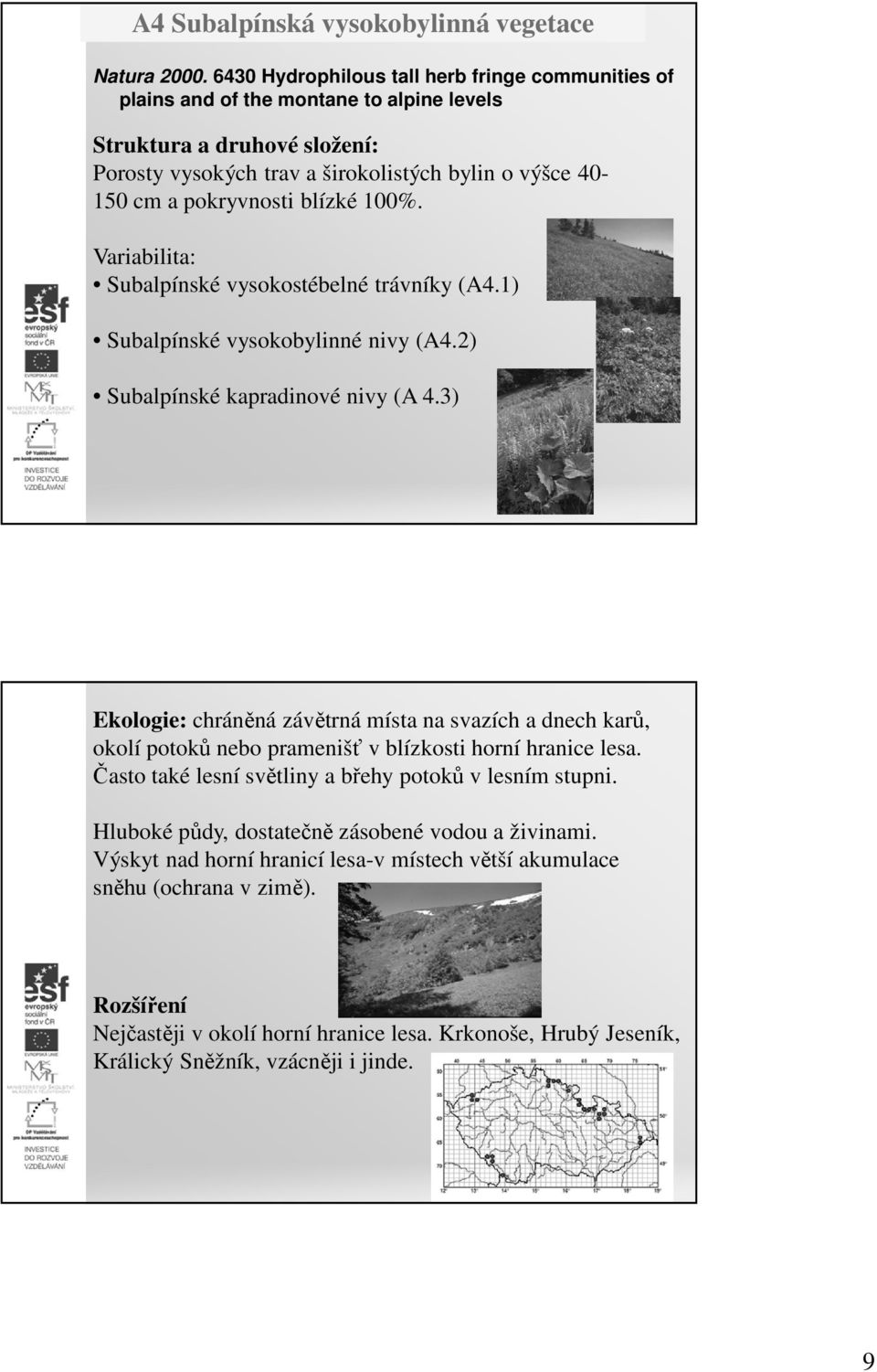 Variabilita: Subalpínské vysokostébelné trávníky (A4.1) Subalpínské vysokobylinné nivy (A4.2) Subalpínské kapradinové nivy (A 4.