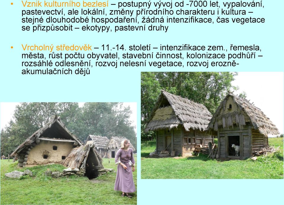 pastevní druhy Vrcholný středověk 11.-14. století intenzifikace zem.