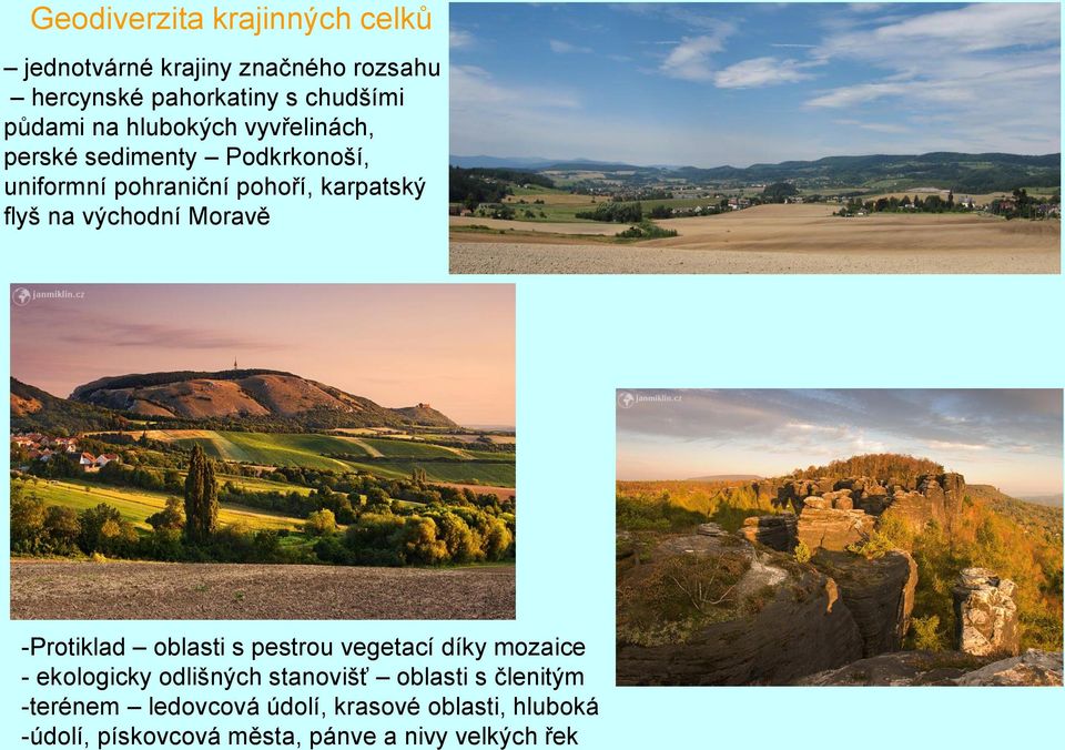 východní Moravě -Protiklad oblasti s pestrou vegetací díky mozaice - ekologicky odlišných stanovišť oblasti