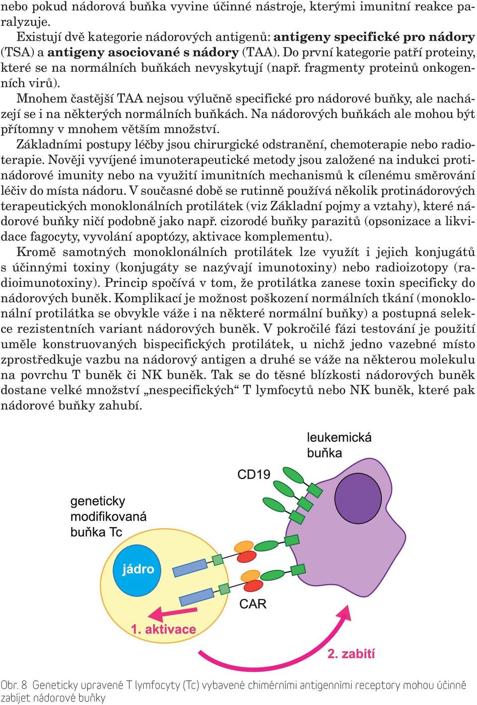 Do první kategorie patří proteiny, které se na normálních buňkách nevyskytují (např. fragmenty proteinů onkogenních virů).