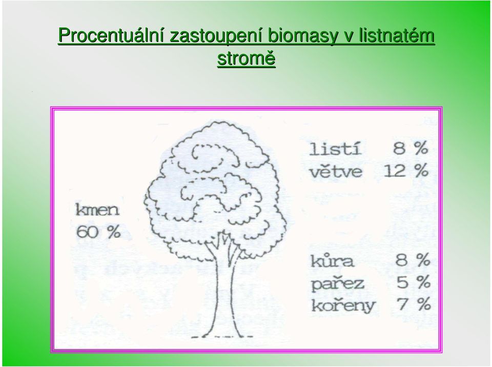 zastoupení