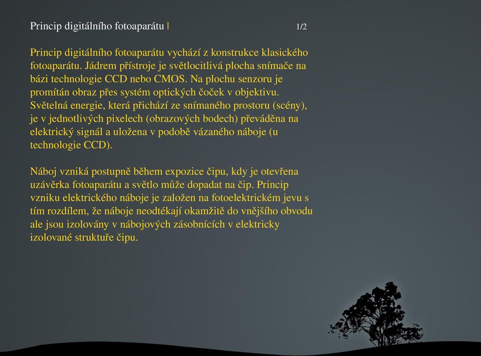 Světelnáenergie,kterápřicházízesnímanéhoprostoru(scény), jevjednotlivýchpixelech(obrazovýchbodech)převáděnana elektrickýsignálauloženavpodoběvázanéhonáboje(u technologieccd).