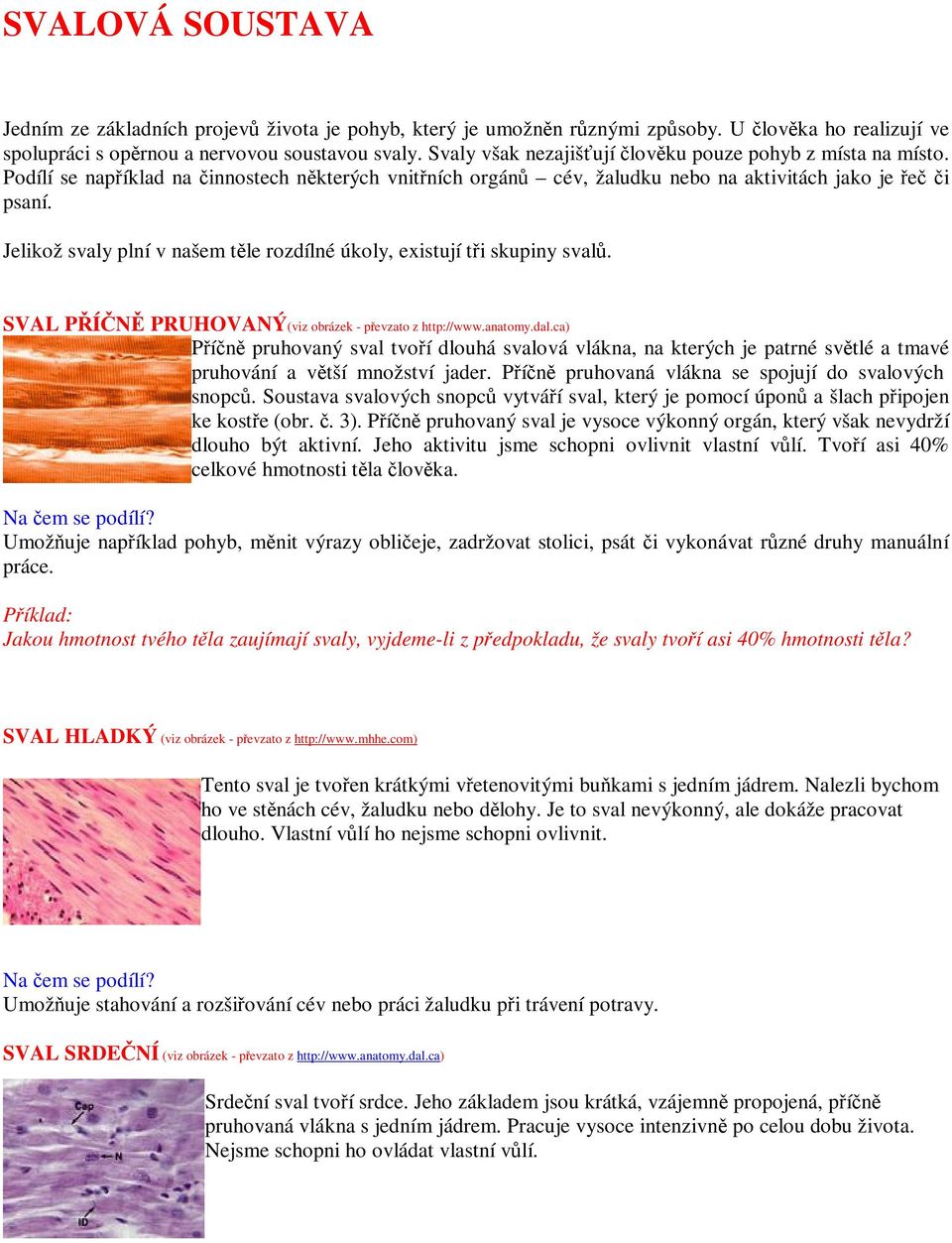 Jelikož svaly plní v našem tle rozdílné úkoly, existují ti skupiny sval. SVAL PÍN PRUHOVANÝ(viz obrázek - pevzato z http://www.anatomy.dal.