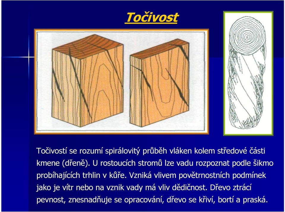 U rostoucích stromů lze vadu rozpoznat podle šikmo probíhajících trhlin v kůře.