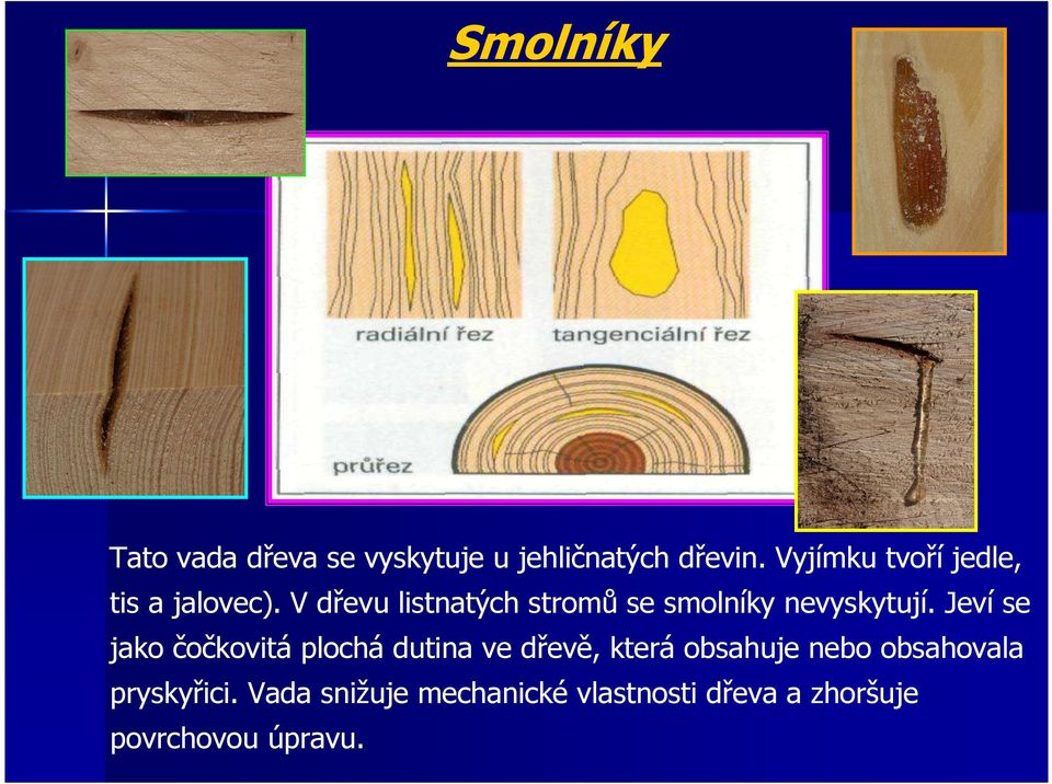 V dřevu listnatých stromů se smolníky nevyskytují.