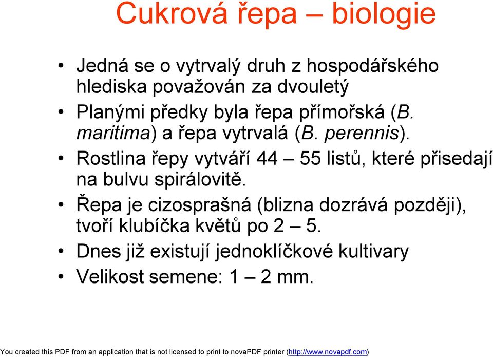 Rostlina řepy vytváří 44 55 listů, které přisedají na bulvu spirálovitě.