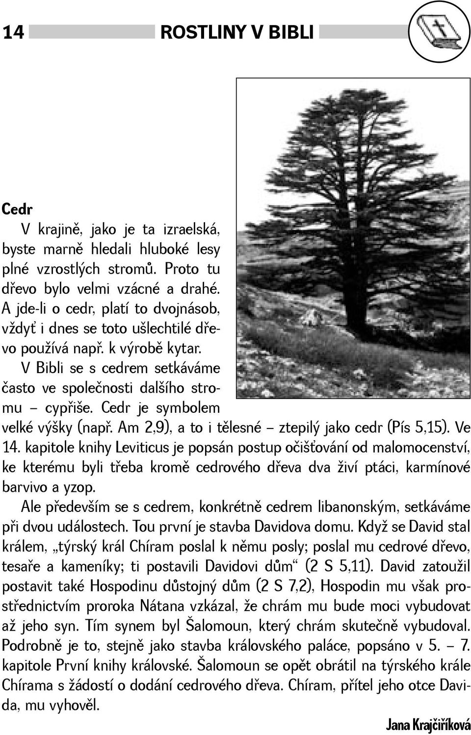 Cedr je symbolem velké výky (napø. Am 2,9), a to i tìlesné ztepilý jako cedr (Pís 5,15). Ve 14.