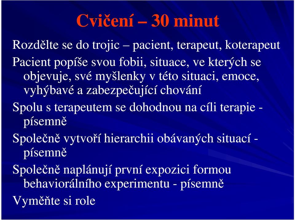 chování Spolu s terapeutem se dohodnou na cíli terapie - písemně Společně vytvoří hierarchii