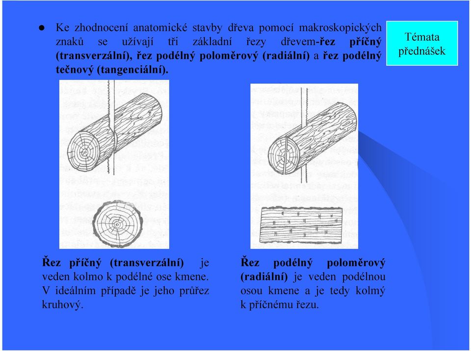 Témata přednášek Řez příčný (transverzální) je veden kolmo k podélné ose kmene.