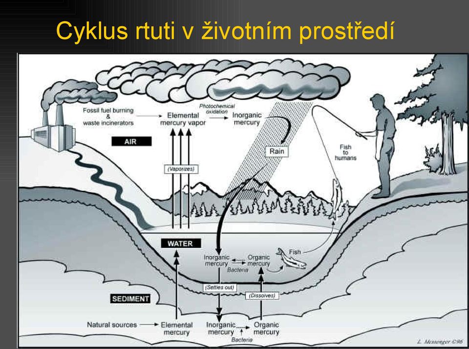 životním