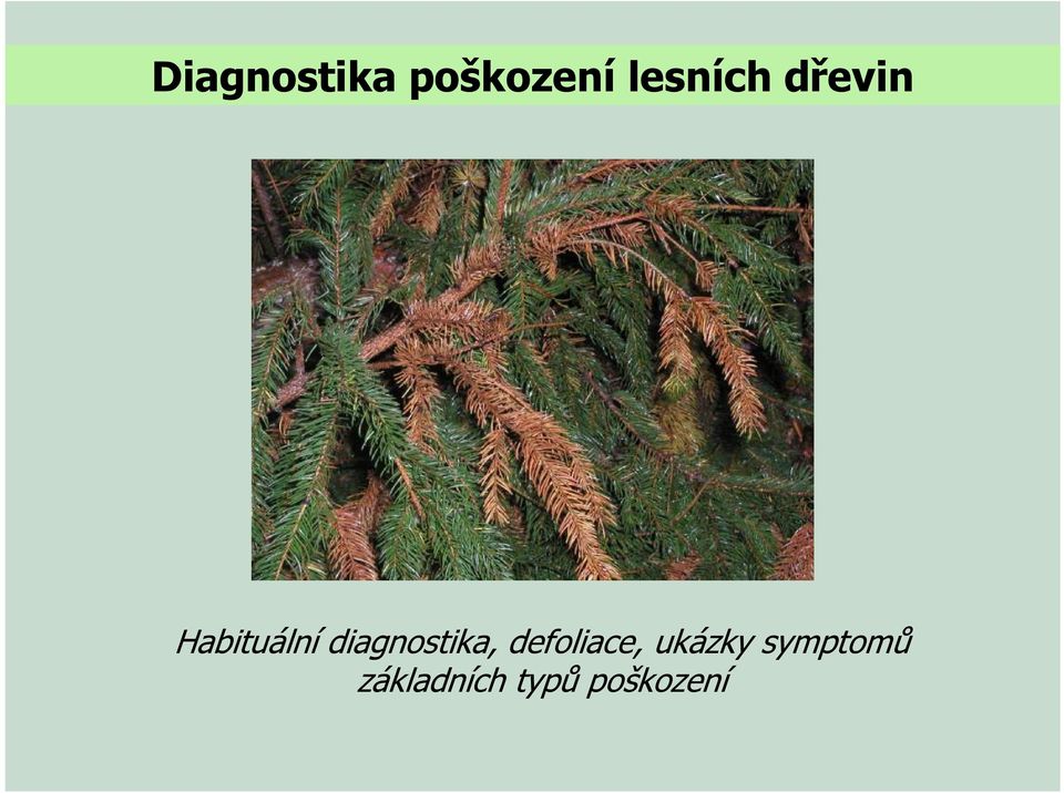 diagnostika, defoliace,