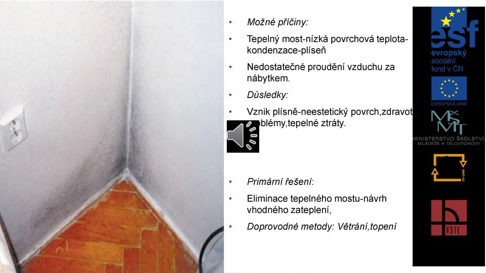 Důsledky: Vznik plísně-neestetický povrch,zdravotní problémy,tepelné