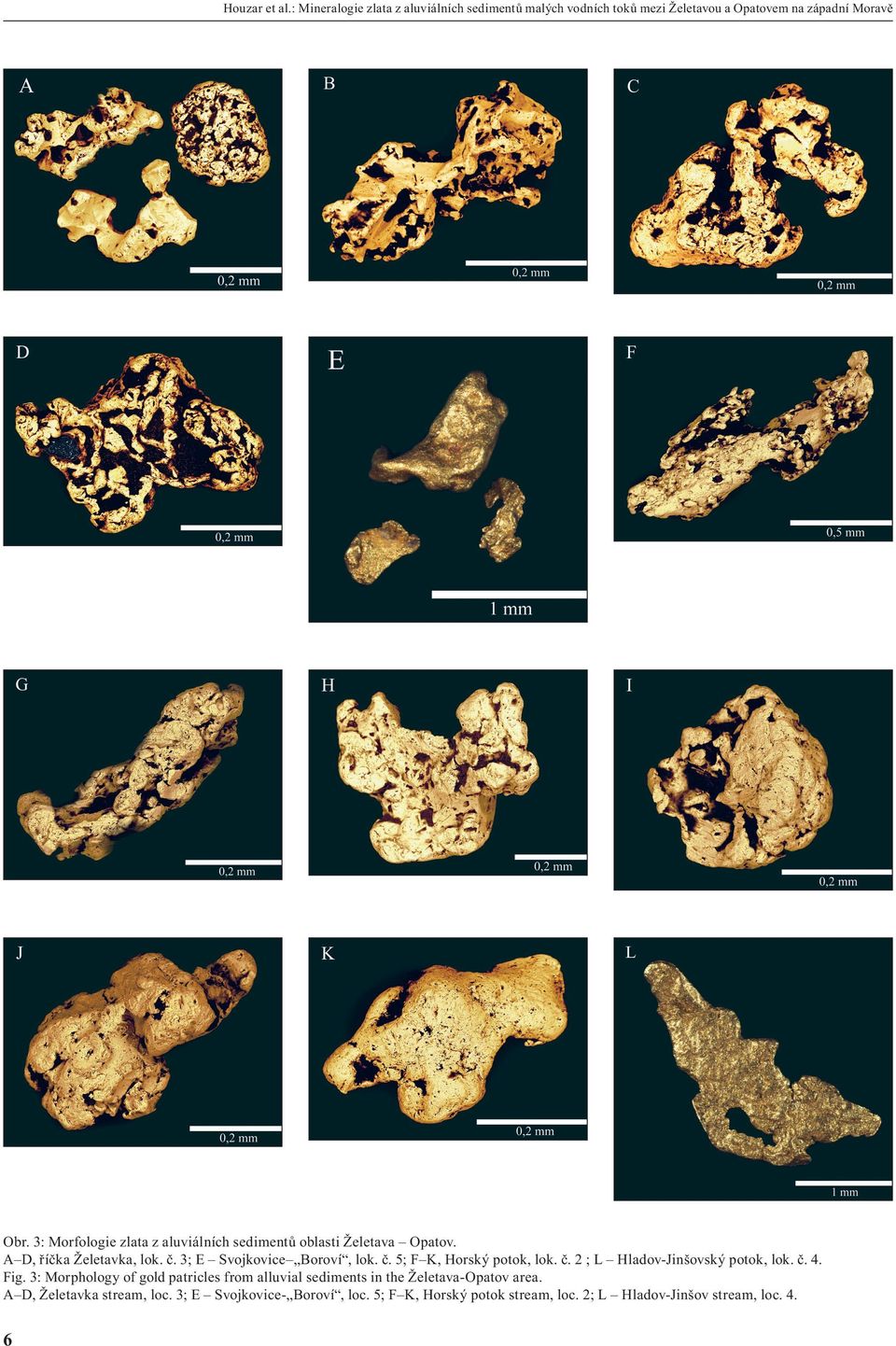 č. 2 ; L Hladov-Jinšovský potok, lok. č. 4. Fig. 3: Morphology of gold patricles from alluvial sediments in the Želetava-Opatov area.