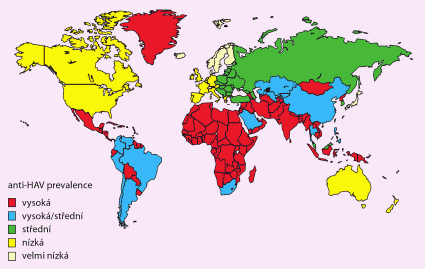 3.3 Trendy ve výskytu VHA ve světě Největší epidemie hepatitidy A v posledních letech proběhla v roce 1988 v čínské Šanghaji.
