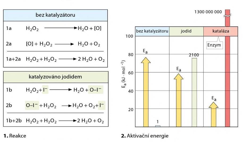 Rozklad