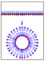 liposom micela Kritická micelární koncentrace koncentrace