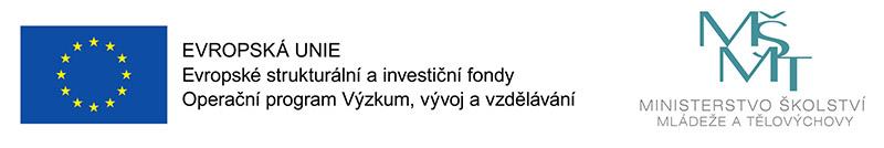 DODATEČNÉ INFORMACE K ZADÁVACÍM PODMÍNKÁM č. 2 Název zadavatele Fyzikální ústav AV ČR, v. v. i.