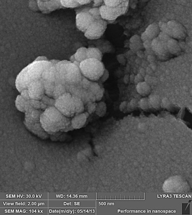 Příloha 1 snímky kontroly kvality pomocí AFM a SEM 1. HOST plazma + 100 nm Cu, 2.