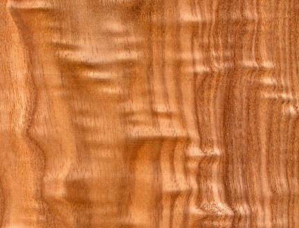 Dřevo a jeho ochrana 31