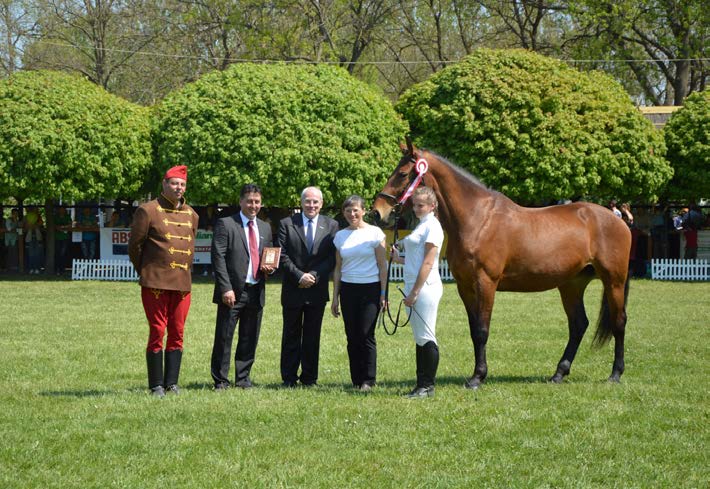 Závěrem bychom chtěli vyjádřit velké poděkování za pozvání na jednu z nejprestižnějších výstav koní rakousko-uherských kmenů.