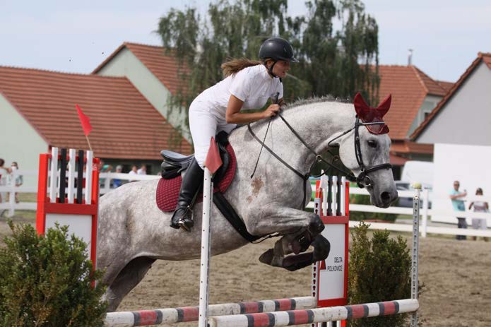 Za JS Stoličkovi Kroměříž v roce 2015 prezentovala Karolína Stoličková klisny 81/5 Sabéna a 81/78 Sahib I MT-1/Sambery v jezdeckém sportu.