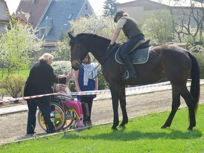 7.2 Hřebčín Tasov v roce 2015 Od počátku chovu moravského teplokrevníka a Furiosa v Hřebčíně Tasov si zástupci těchto plemen našli své místo při pravidelných společenských akcích, na které jsou