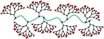 Struktura- konstituce comb polymers Hlavní