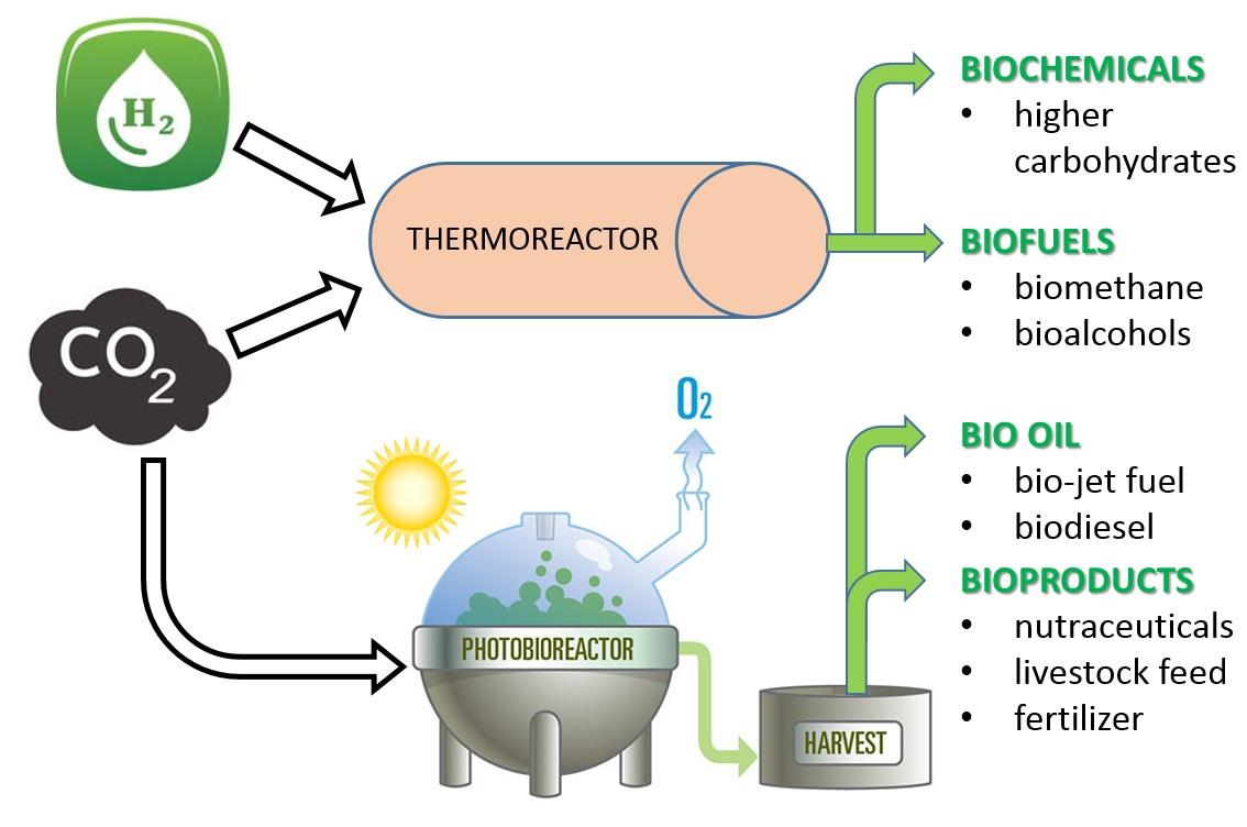 Technologická zařízení pro zpracování CO2 z CCS technologií Vedoucí BP: doc. Ing. Lukáš Krátký, Ph.D.