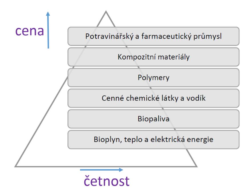 Stroje a zařízení pro výrobu biochemikálií a biopaliv 2+ generace Vedoucí BP: doc. Ing. Lukáš Krátký, Ph.D.