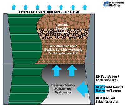 Biofiltrační jednotky pro čištění plynů Vedoucí BP: doc. Ing. Lukáš Krátký, Ph.D. Seznamte se s možnostmi využití biofiltračních jednotek v praxi.