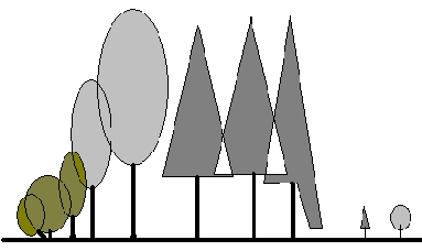 Struktura porostu Druhová