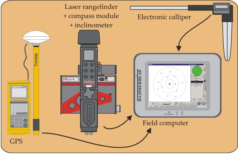 Zjišťování struktury porostu FieldMap GPS jednotka Laserový skener Elektronický kompas PC Elektronická průměrka Podpůrné vybavení a pomůcky R = 12.62 m nebo 9.