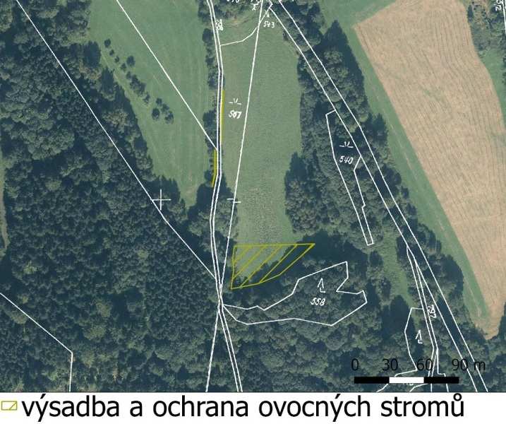 Název akce PPK: Obnova vegetačního krytu v k.ú. Bystřice pod Čerchovem číslo akce: 11 Číslo dohody: Dotační titul: Zhotovitel: PPK-11a/44/13 A5.3b Domažlické městské lesy spol. s.r.o. (nájemce) Lokalita: k.