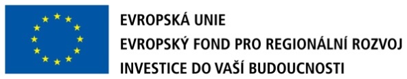 V uplynulém roce bylo společností VTPO spolu s platformou Rails Girls, což je celosvětová komunita žen a dívek, který si klade za cíl přitáhnout ženy do IT, realizováno pokračování workshopů Rails