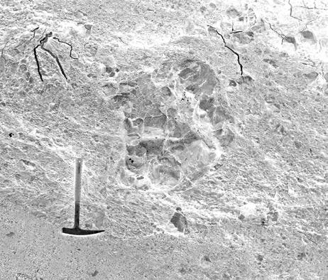 belophorus ve spodním hyaloklastitu, d) mikrofotografie hyaloklastitu v procházejícím světle útržky bazaltu s kalcitovými a chloritovými mandličkami stmelené kalcitem. Obr.