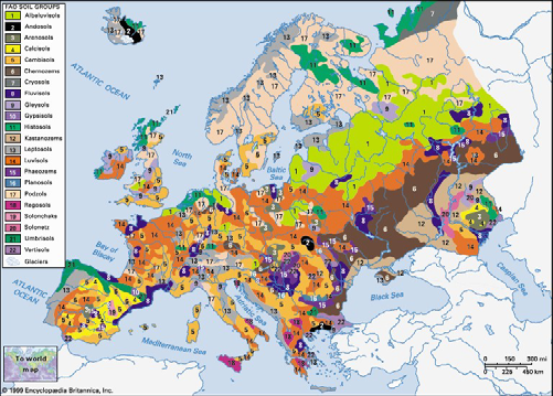 TKSP převod TKSP převod TKSP Leptosoly Regosoly Fluvisoly Vertisoly Andosoly Litozem Ranker Rendzina Pararendzina Regozem Regozem ar.