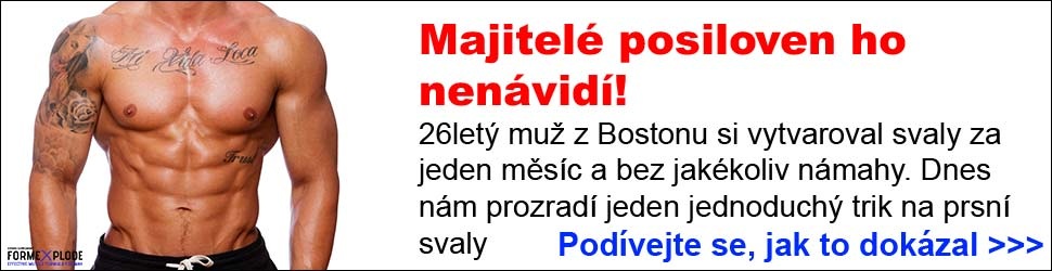 Extremisté loni pořádali 307 akcí. Romské téma vytlačili muslimové Téma Na letáku masový vrah Breivik vedle Okamury. Na transparentu: Mír a lásku, hloupý nácku.