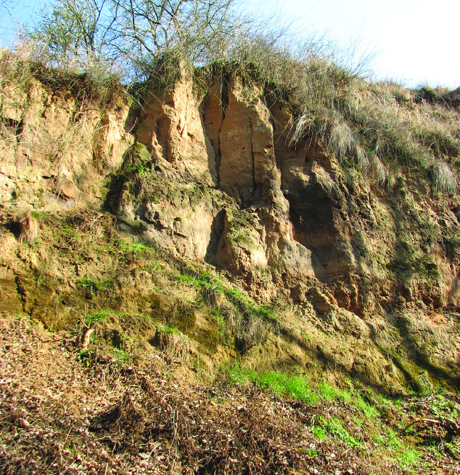 Vybavení Rozhodně si s sebou vezměte geologické kladívko (nemáte-li, poslouží i zednické či obyčejné), tužku, zápisník, skládací či pásmový metr, staré noviny (na zabalení odebraných geologických