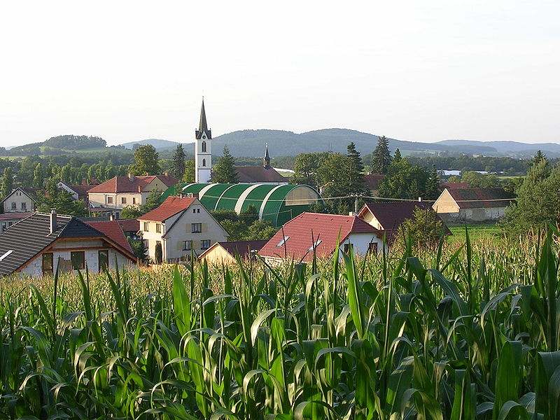 slovanských Čech, zvaná cesta Pražsko-Bechyňská a další významnou cestou byla stezka Zrůbek - Sedlčany, po které se přepravovala sůl od Vltavy ze Zrůbku do Sedlčan a dále.