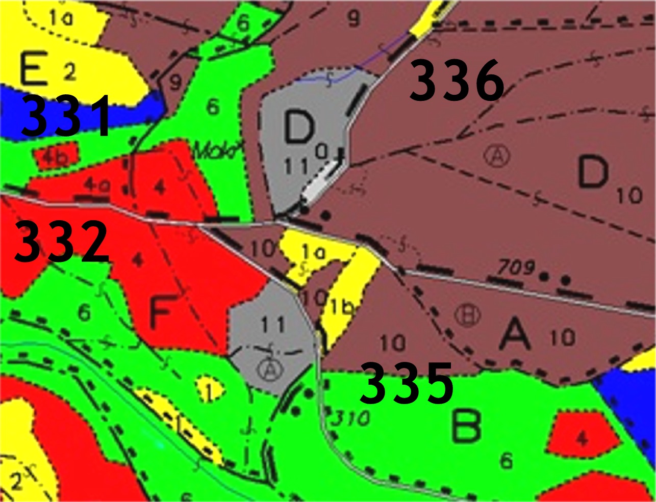 Obnova porostů 331D11 a 336D10 začala v roce 2004 souběžně. Postupovali jsme v obou porostech obdobným způsobem silným prosvětlením stávajícího porostu. Ochrana zmlazení byla zajištěna oplocením.