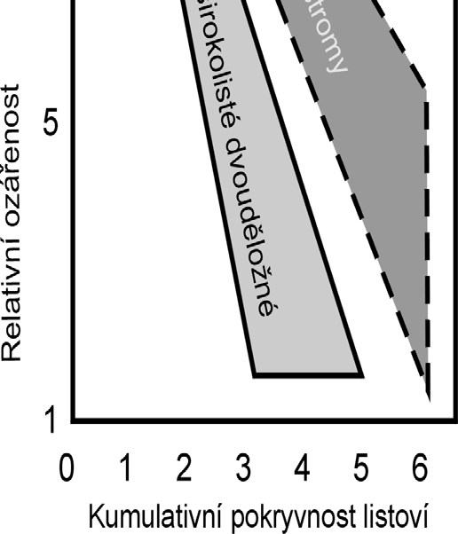 Beerův zákon Φ = Φ 0 ( ) e kχ, kde k = koeficient extinkce (u rostlin poměr