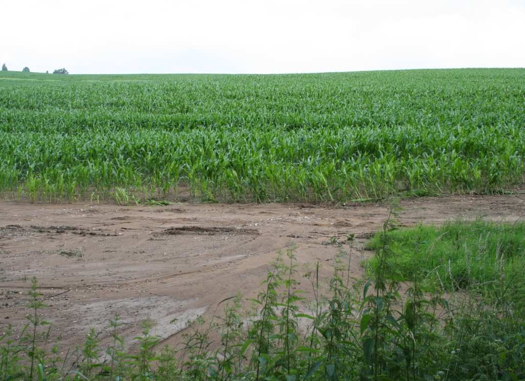 Eroze Podle dlouhodobé evidence půd (VÚMOP) je asi 50 % půd v ČR ohroženo vodní erozí, 20 % větrnou a dalších 25 % půd je k erozi náchylných.