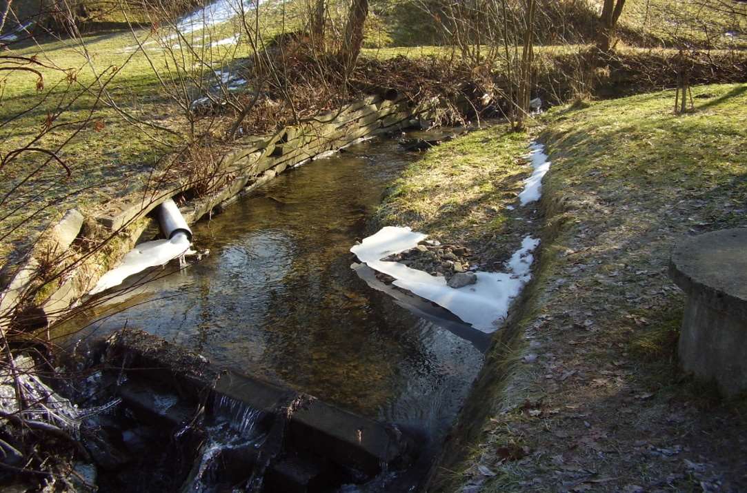 Stav životních společenstev a kvalita vody