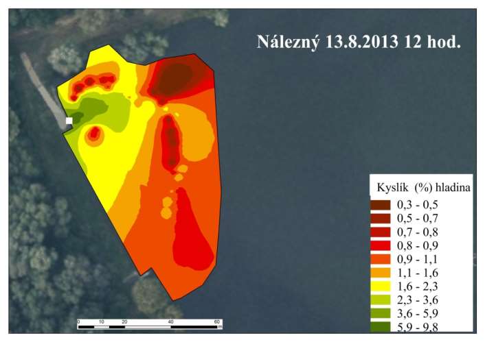 Úhyn ryb v důsledku deficitu kyslíku Ukazatel Nálezný kyslík mg/l 0,16 kyslík % 1,9 teplota vody C 24,0 ph 8,60 průhlednost cm 50 vodivost µs/cm 931 N cel.